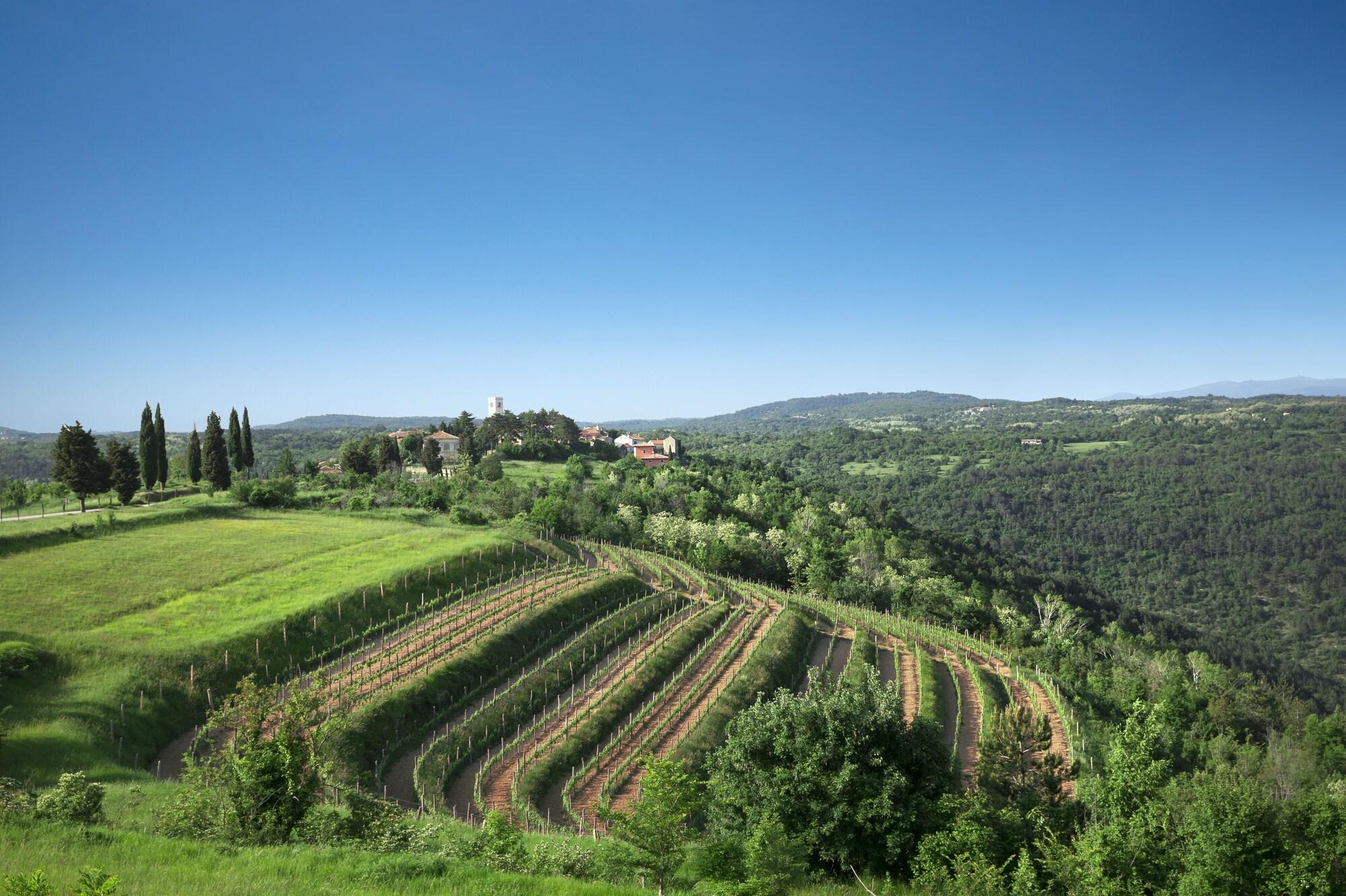 Palazzo Angelica B&B Adults Only Oprtalj Екстер'єр фото