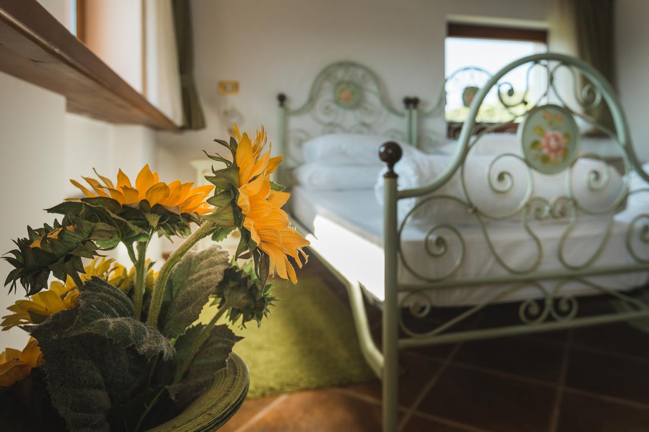 Palazzo Angelica B&B Adults Only Oprtalj Екстер'єр фото
